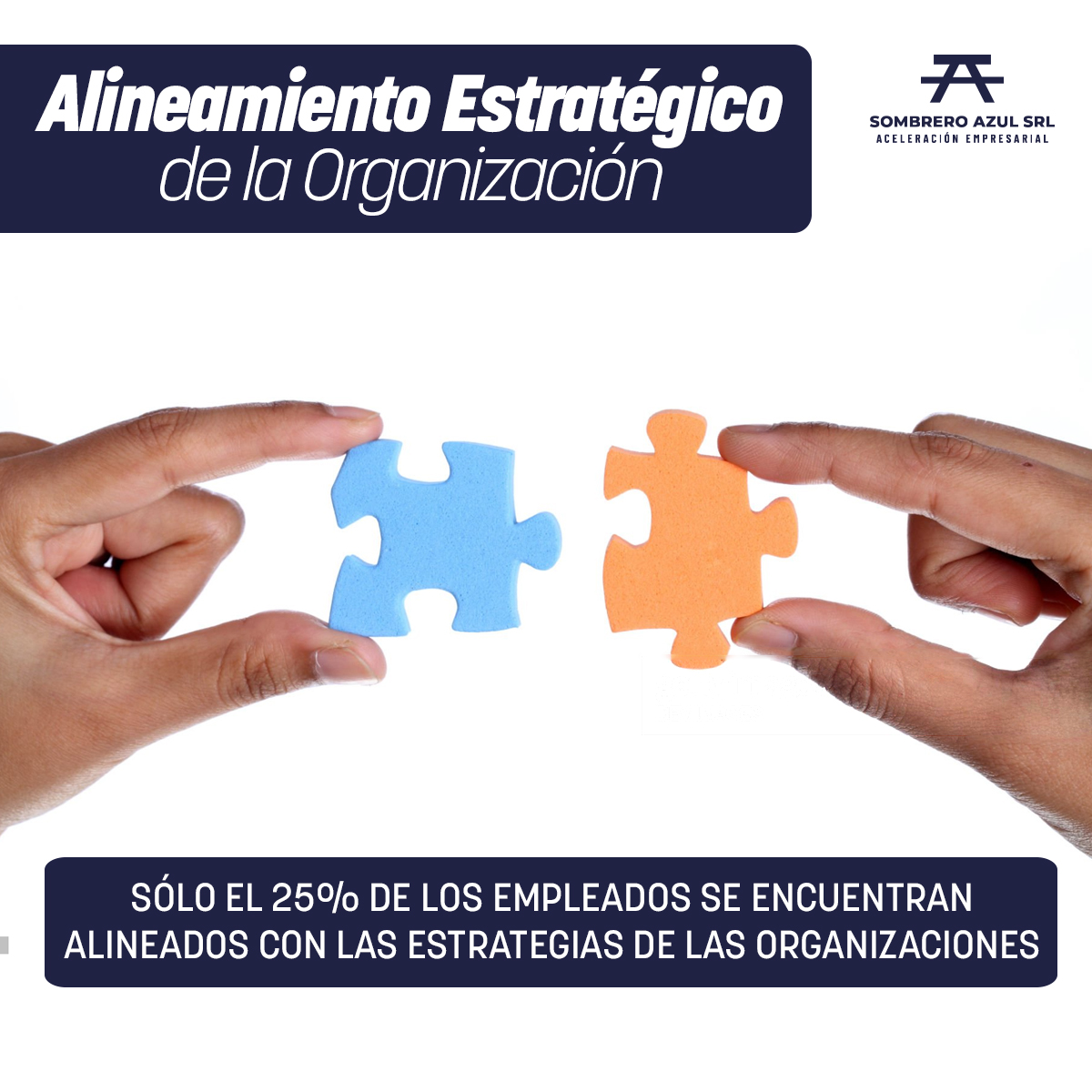 Alineamiento Estratégico de la Organización